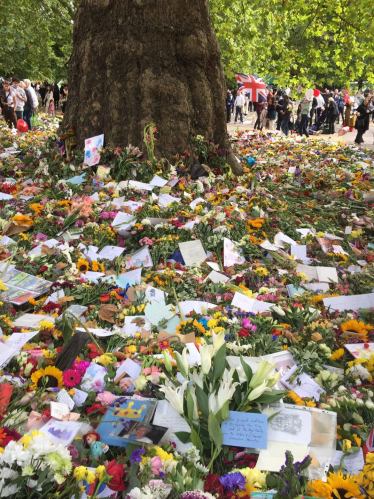 Floral tributes to the Queen in Hyde Park.